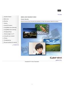 Sony Cyber-shot HX100 manual. Camera Instructions.